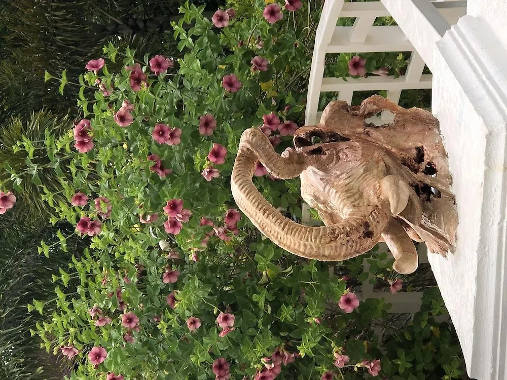 Coral Seas Garden Resort Negril
